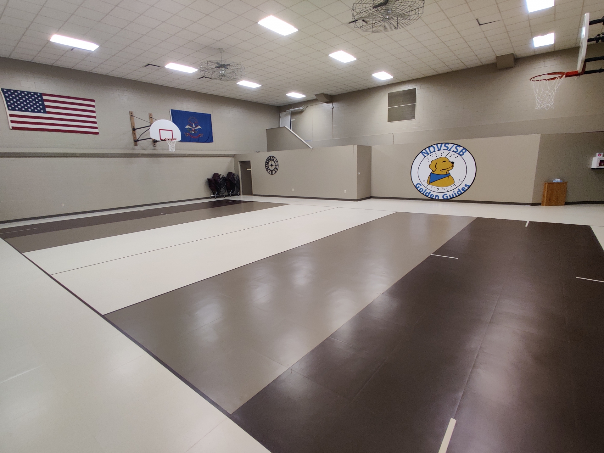 new gym floor shows goalball lines and new tan walls with a painting of mascot Goldie on the wall in the background.