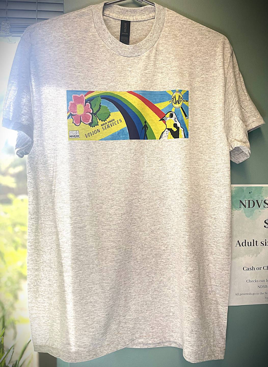 NDVS/SB Shirt, gray cotton T-shirt with the color mural on the front